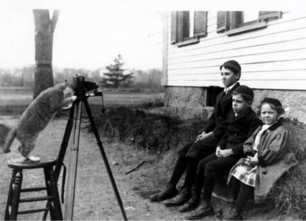 Foto - Birbirinden ilginç görüntüler