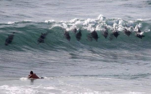 Foto - Birbirinden ilginç görüntüler