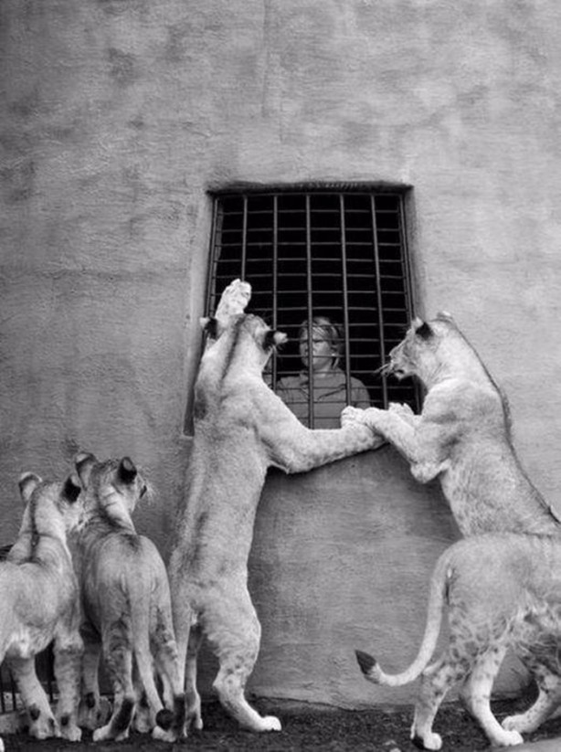 Foto - Birbirinden ilginç görüntüler
