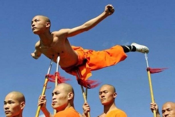 Foto - Birbirinden ilginç görüntüler