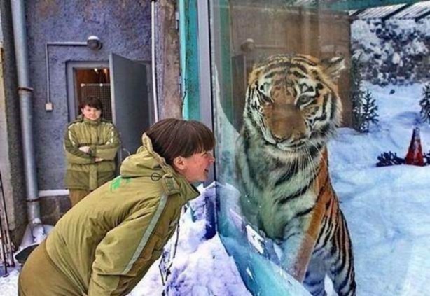 Foto - Birbirinden ilginç görüntüler