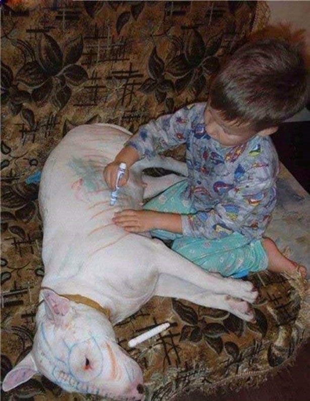 Foto - Birbirinden ilginç görüntüler