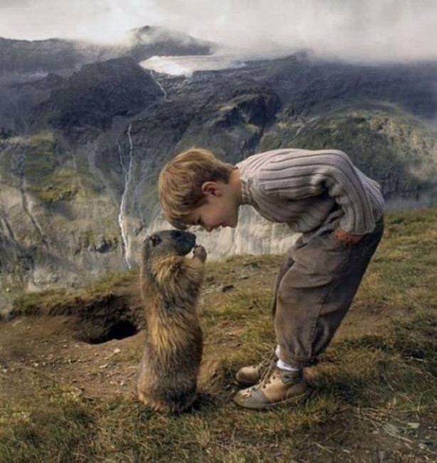 Foto - Birbirinden ilginç görüntüler