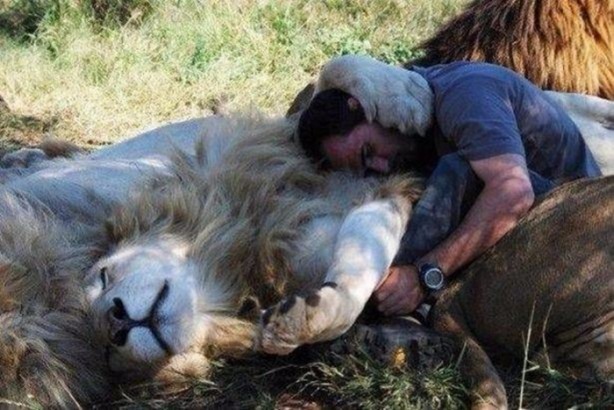 Foto - Birbirinden ilginç görüntüler