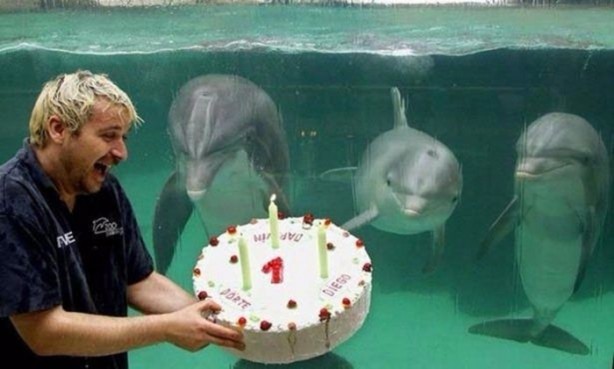 Foto - Birbirinden ilginç görüntüler