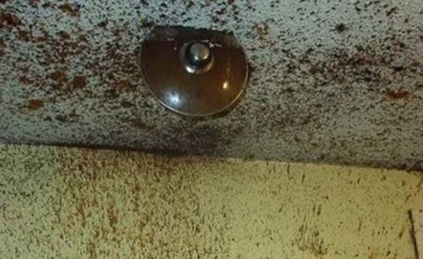 Foto - Birbirinden korkunç mutfak kazaları