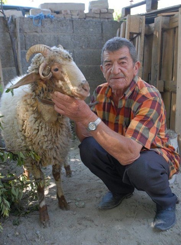 Foto - Birbirinden tuhaf hayvanlar