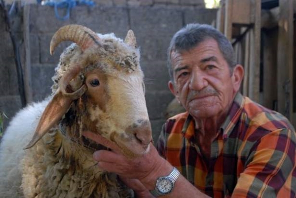 Foto - Birbirinden tuhaf hayvanlar