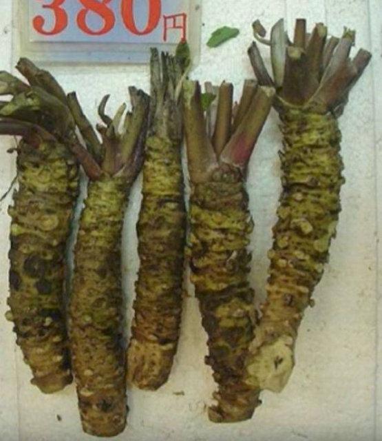 Foto - Birbirinden tuhaf sebze ve meyveler...