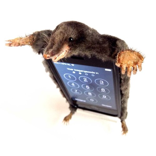 Foto - Birbirinden tuhaf tasarımlarla telefon kapları