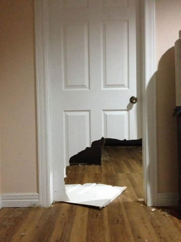 Foto - Birbirinden yaramaz sevimli hayvanlar