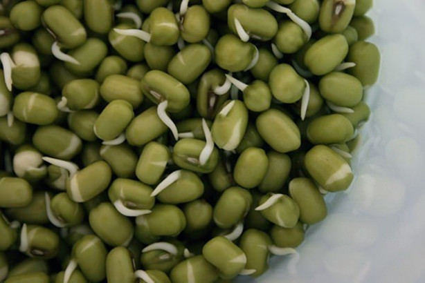 Foto - Birçoğumuz bilmiyoruz ama kanseri silip atıyor!