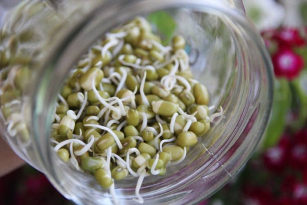 Foto - Birçoğumuz bilmiyoruz ama kanseri silip atıyor!