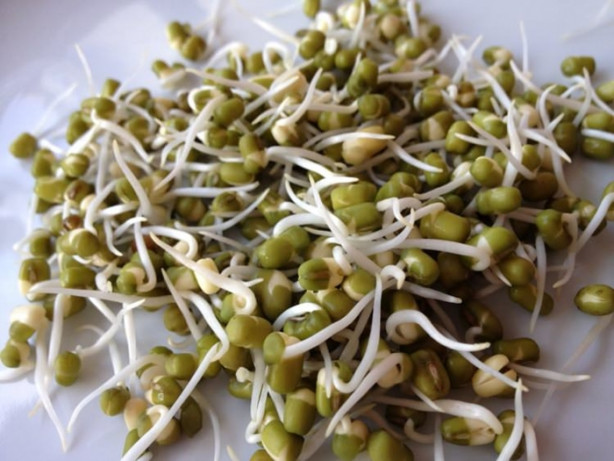 Foto - Birçoğumuz bilmiyoruz ama kanseri silip atıyor!