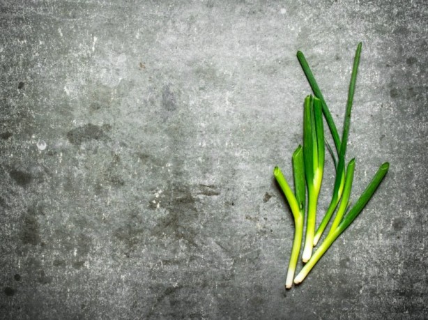 Foto - Birçoğumuz bu formülleri bilmiyor! Hangi yiyecek nasıl saklanmalı?