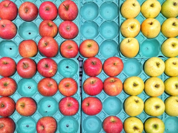 Foto - Birçoğumuz bu formülleri bilmiyor! Hangi yiyecek nasıl saklanmalı?