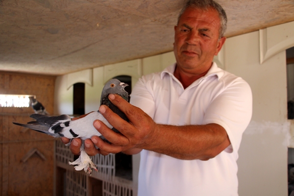 Foto - Birçok aile geçimini bundan sağlıyor! Tanesi 50 bin lira