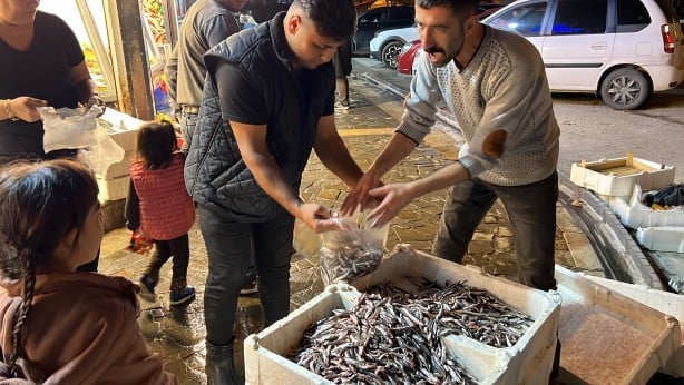 Birçok kişi böylesini ilk kez görüyor! Herkese bedava verildi