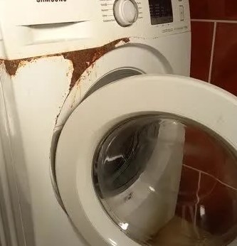 Foto - Birçok kişi bu hatayı yapıyor! Almanlar çamaşır makinesini böyle çalıştırmıyor