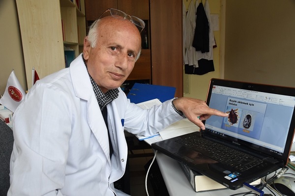 Foto - Birçok kişinin korkulu rüyası | İşte tehlikeli kenelerin en çok görüldüğü iller