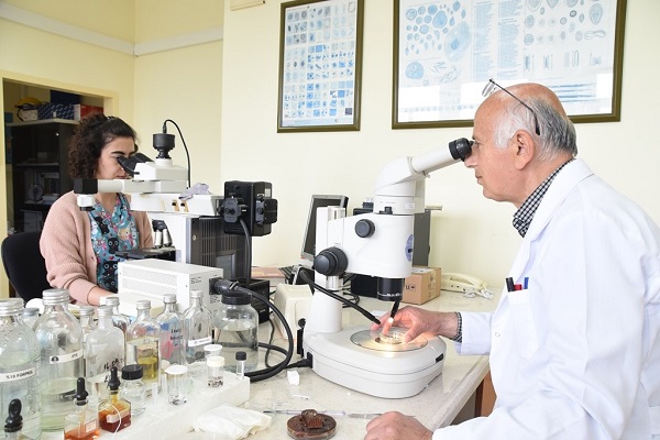 Foto - Birçok kişinin korkulu rüyası | İşte tehlikeli kenelerin en çok görüldüğü iller