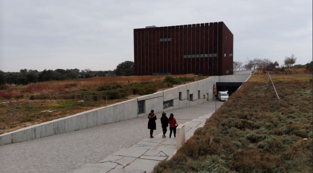 Birçok kişinin aklından bile geçmez! 9 milyon kişi internette onu arattı