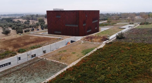 Foto - Birçok kişinin aklından bile geçmez! 9 milyon kişi internette onu arattı