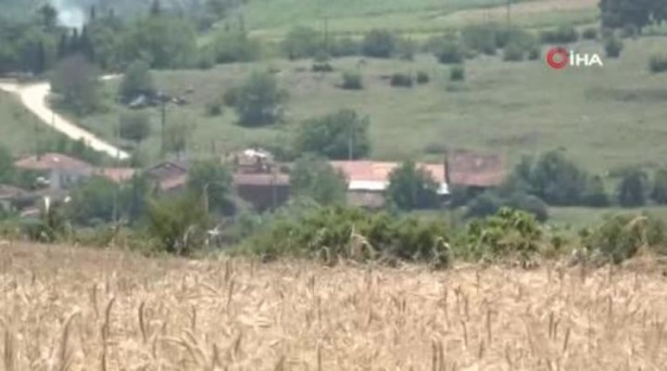 Foto - Birçok ülke bu tahılı stokluyor! Türkiye'de üretiliyor