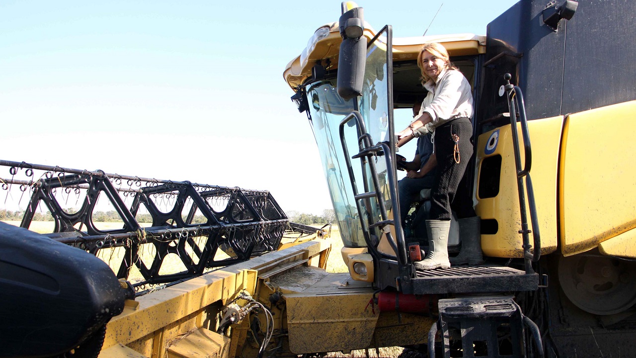 Foto - Biri memur biri esnaftı! Kariyerlerini bırakıp çeltik üretmeye başladılar