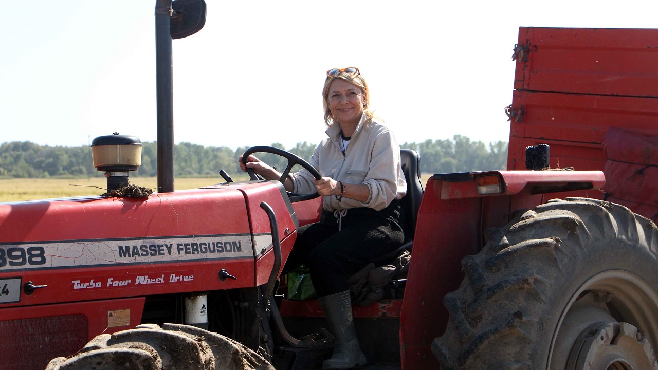 Foto - Biri memur biri esnaftı! Kariyerlerini bırakıp çeltik üretmeye başladılar