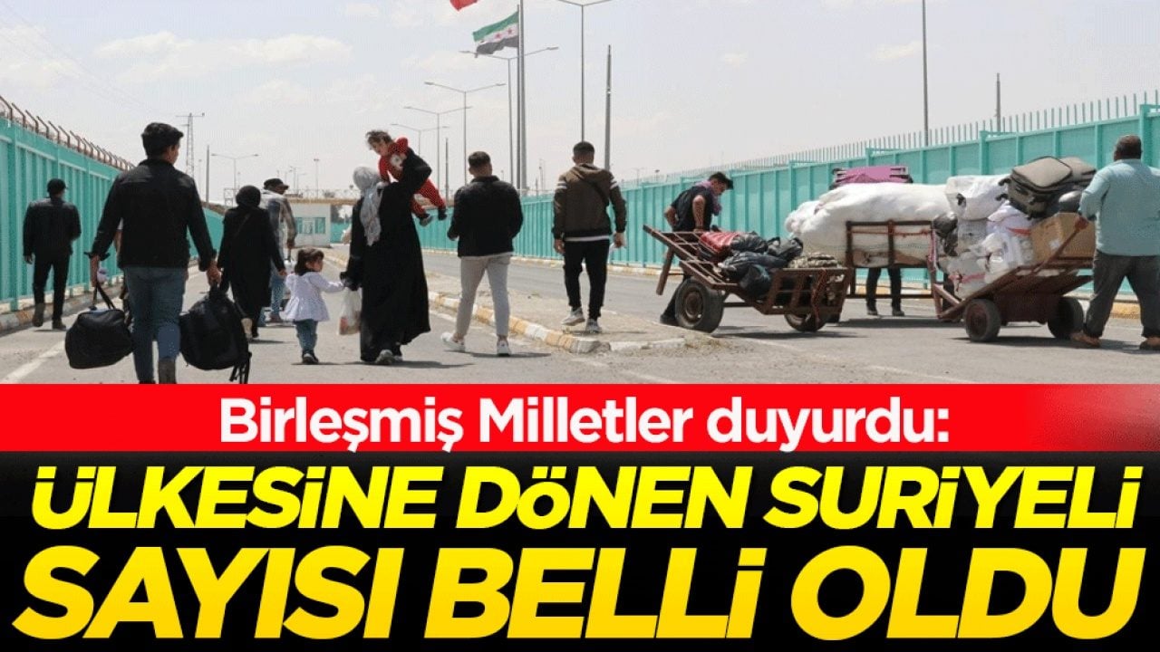 Birleşmiş Milletler duyurdu: Ülkesine dönen Suriyeli sayısı belli oldu!