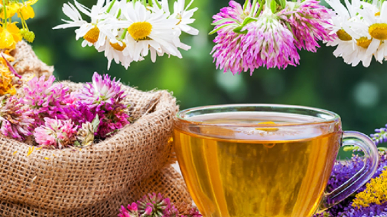 Foto - Bitki çayları için net bilgi: Beklenmedik bir yorum ortaya çıkabilir: Sağlıklı mı sağlıksız mı?