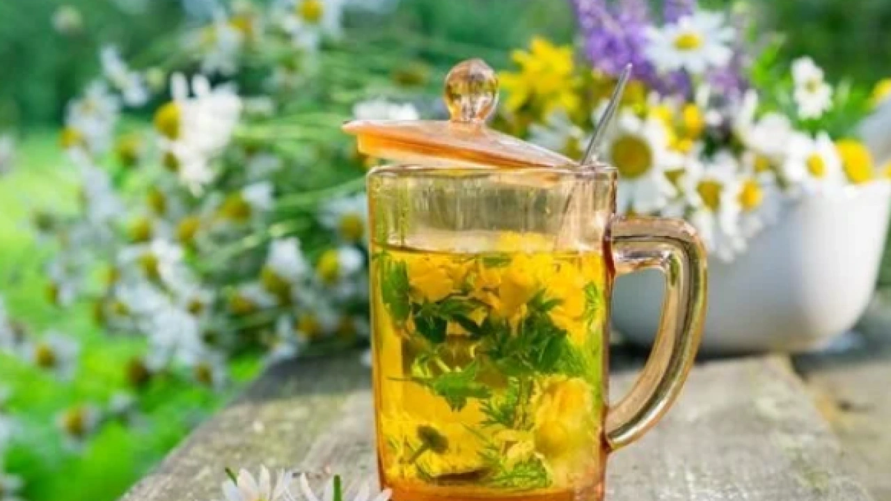 Foto - Bitki çayları için net bilgi: Beklenmedik bir yorum ortaya çıkabilir: Sağlıklı mı sağlıksız mı?