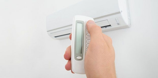 Foto - Bitki çayları klima çarpmasından koruyor