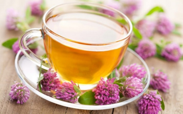 Foto - Bitki çayları klima çarpmasından koruyor