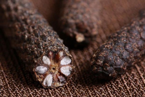 Foto - Bitki değil yürüyen eczane! Çok az kişi biliyor! Evinden eksik eden, başını taşlara vurur