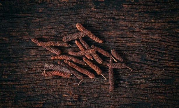 Foto - Bitki değil yürüyen eczane! Çok az kişi biliyor! Evinden eksik eden, başını taşlara vurur