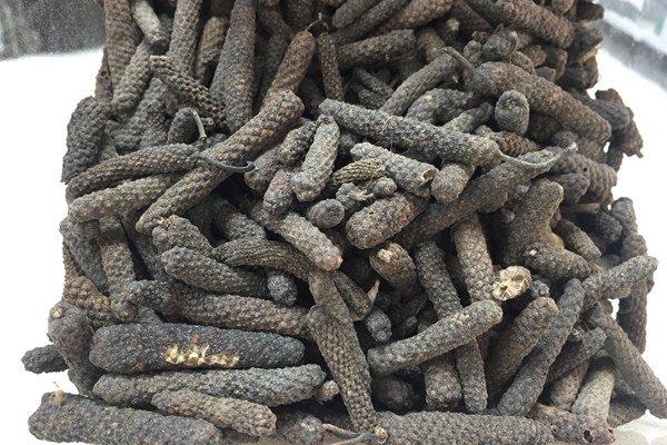 Bitki değil yürüyen eczane! Çok az kişi biliyor! Evinden eksik eden, başını taşlara vurur