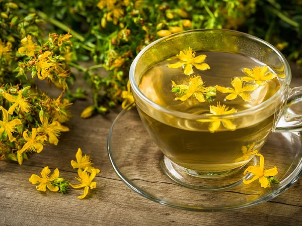 Foto - 'Bitkilerin Profesörü' tek tek anlattı! Bu bitkinin iyi gelmediği hastalık yok