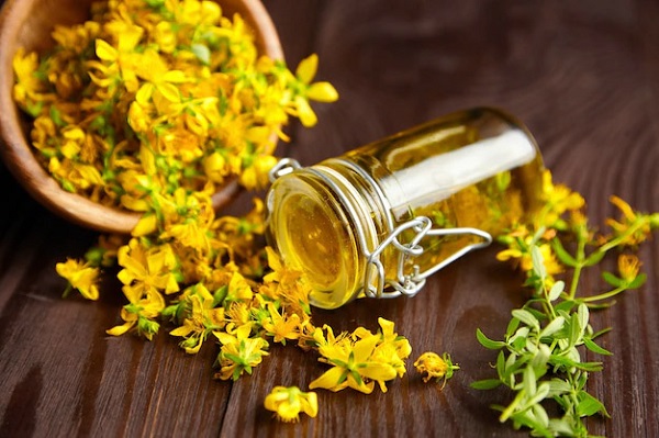 Foto - 'Bitkilerin Profesörü' tek tek anlattı! Bu bitkinin iyi gelmediği hastalık yok