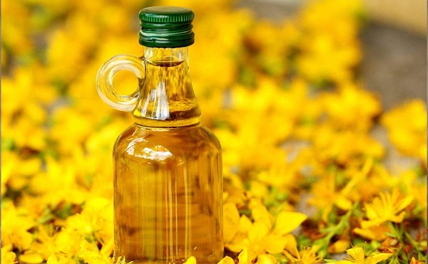 Foto - 'Bitkilerin Profesörü' tek tek anlattı! Bu bitkinin iyi gelmediği hastalık yok