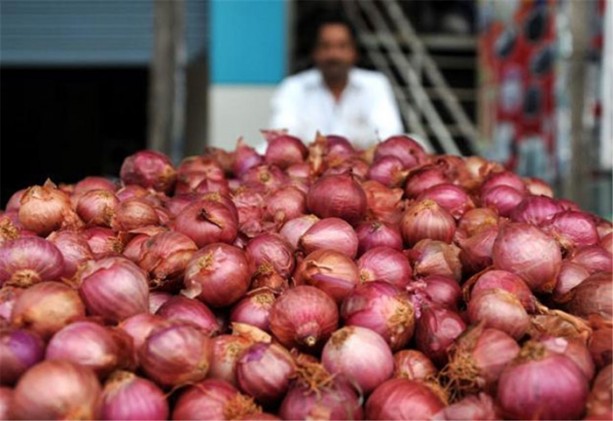 Foto - Bitlerden doğal yöntemlerle kurtulun