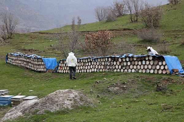 Foto - Bitlis balı, Paris'te ödülü aldı