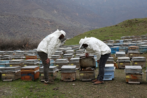 Foto - Bitlis balı, Paris'te ödülü aldı