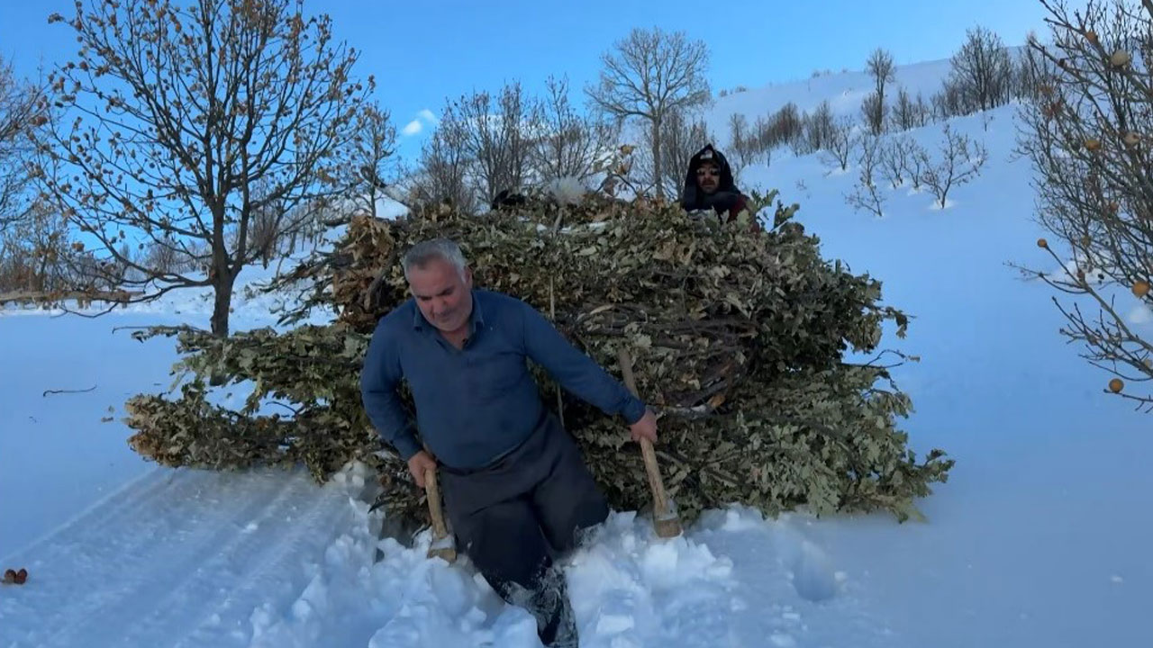 Bitlis kışa teslim! Kar yolları kapattı besiciler yolları kızakla aştı