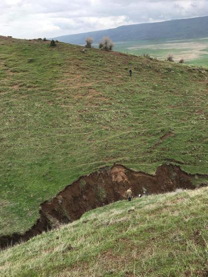 Foto - Bitlis'te toprak kayması! Hayvanlar vadiye düştü