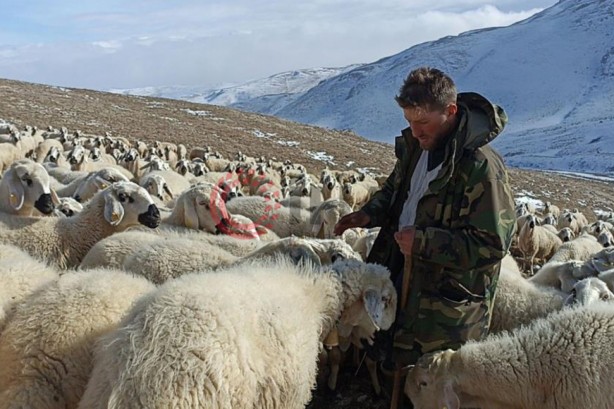 Bitme noktasına gelen meslek! Aylık 40 lira maaşa çalışan eleman yok