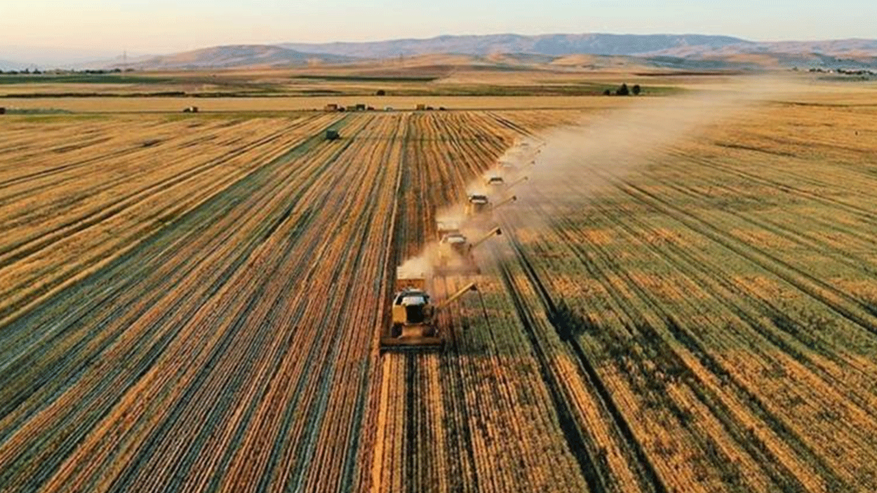Foto - Bitti diyenler utansın: Avrupa'da lider dünyada ilk 10'dayız