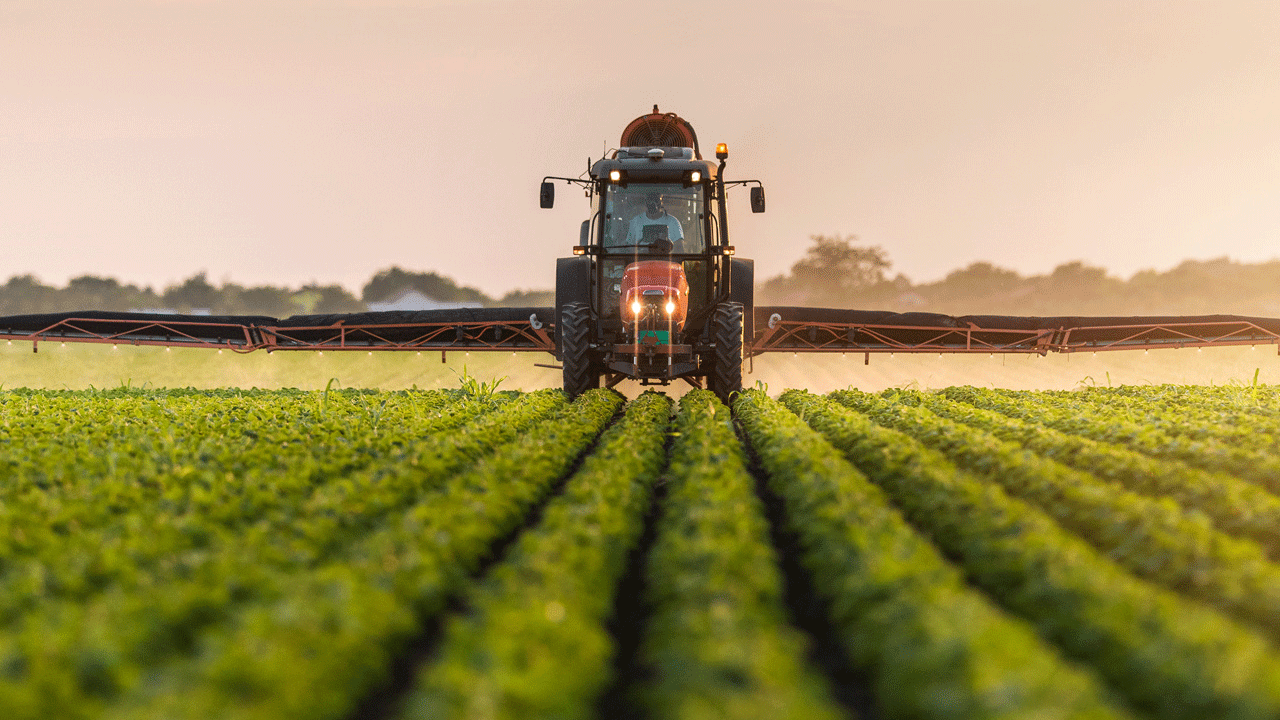 Foto - Bitti diyenler utansın: Avrupa'da lider dünyada ilk 10'dayız