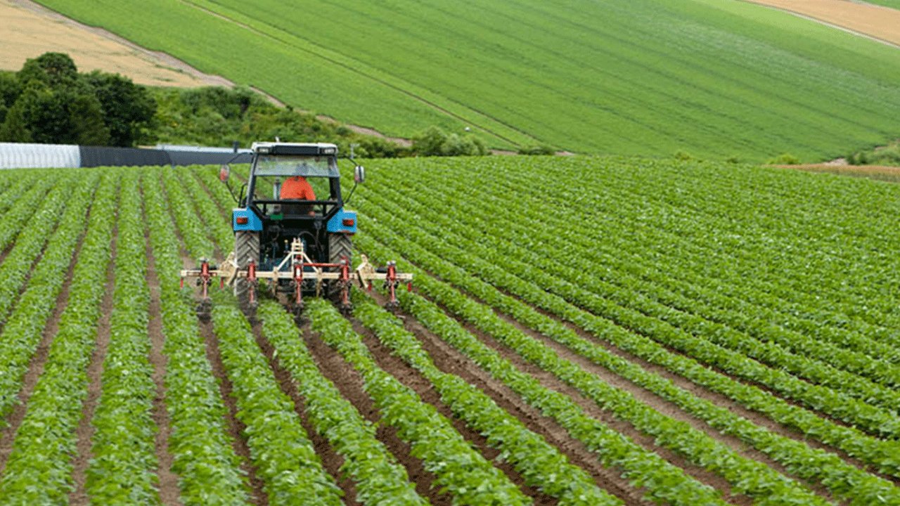 Foto - Bitti diyenler utansın: Avrupa'da lider dünyada ilk 10'dayız